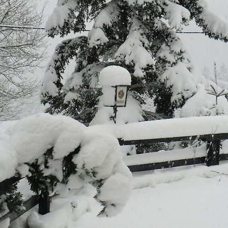 Hotel Zum Schneekopf "Garni" Gehlberg Zewnętrze zdjęcie
