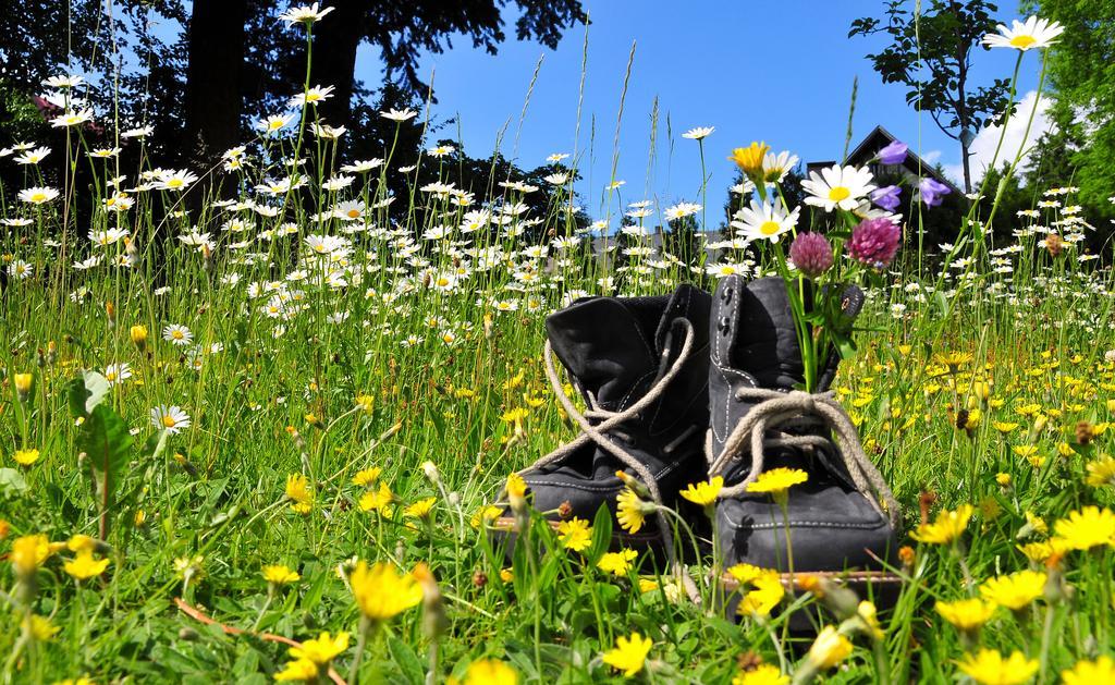 Hotel Zum Schneekopf "Garni" Gehlberg Zewnętrze zdjęcie