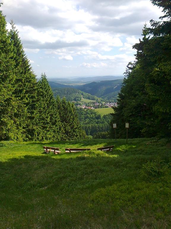 Hotel Zum Schneekopf "Garni" Gehlberg Zewnętrze zdjęcie