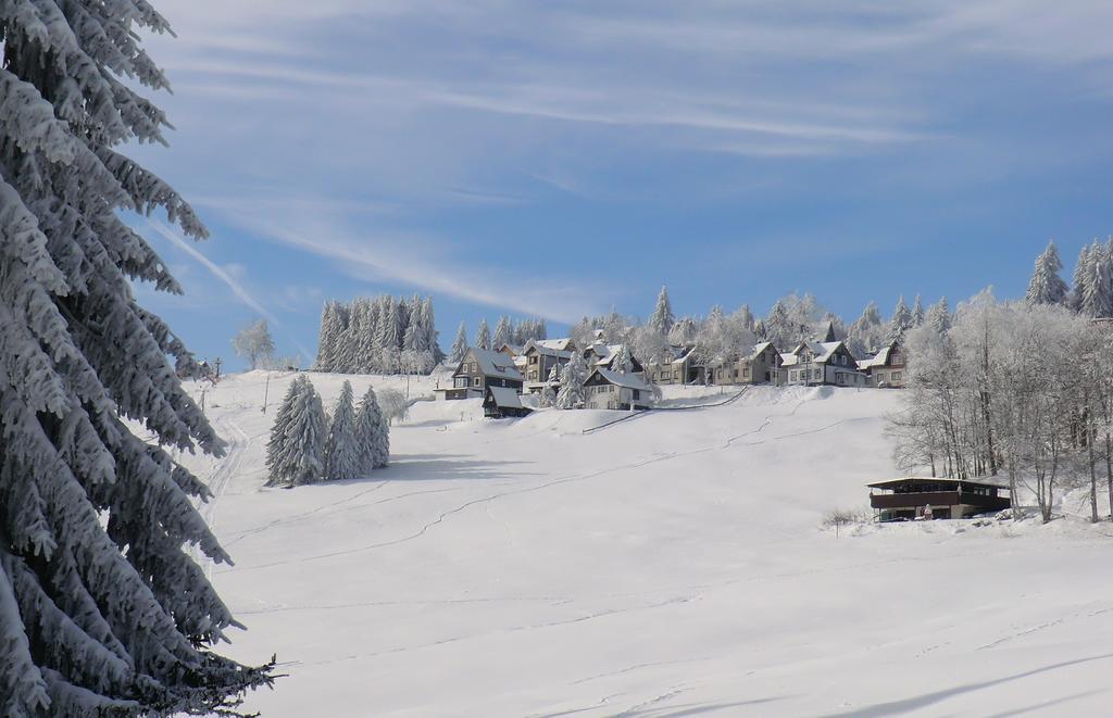 Hotel Zum Schneekopf "Garni" Gehlberg Zewnętrze zdjęcie